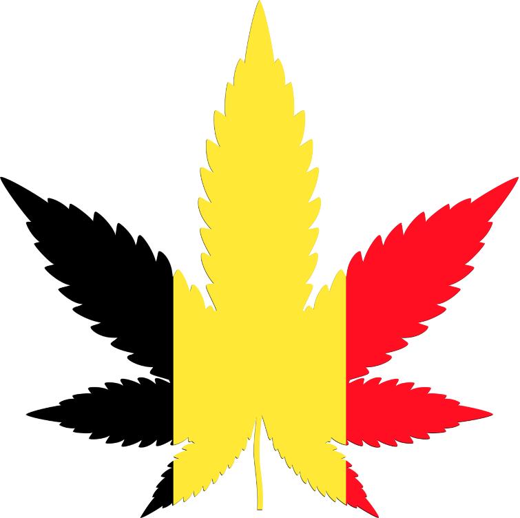 Belgium flag in cannabis leaf