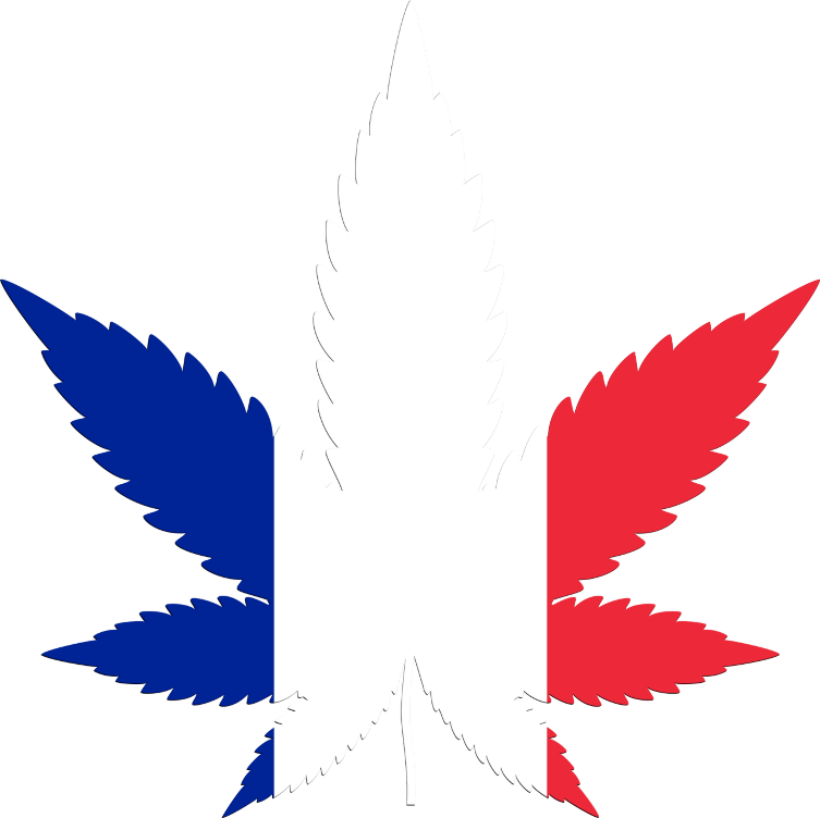France flag in cannabis leaf