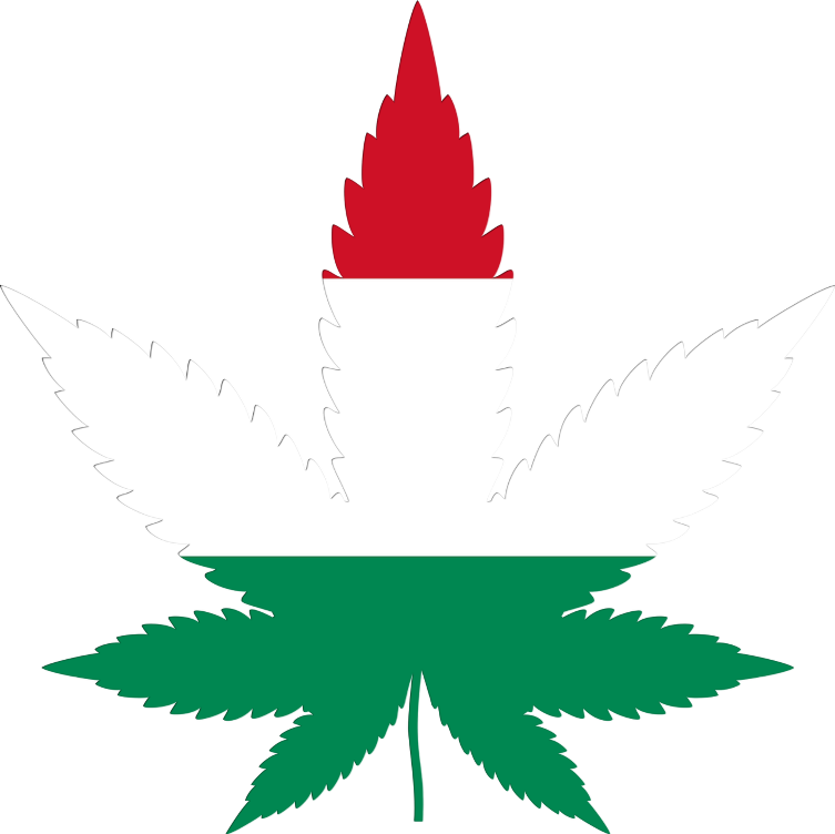 Hungary flag in cannabis leaf