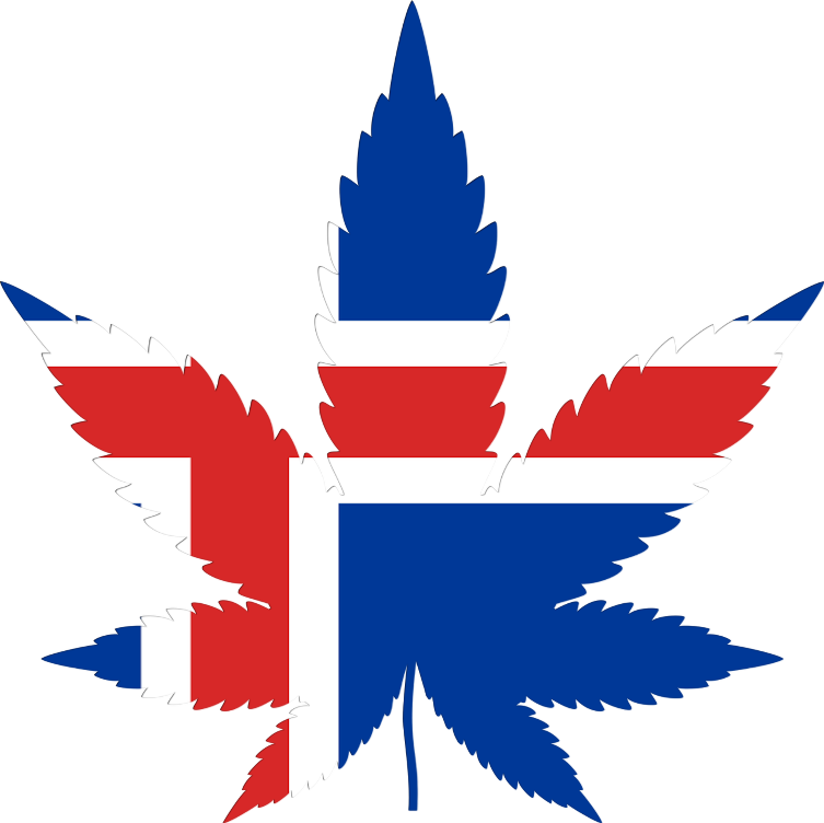 Iceland flag in cannabis leaf