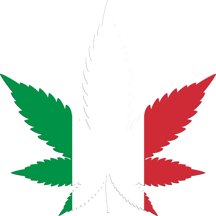 Italy flag in cannabis leaf