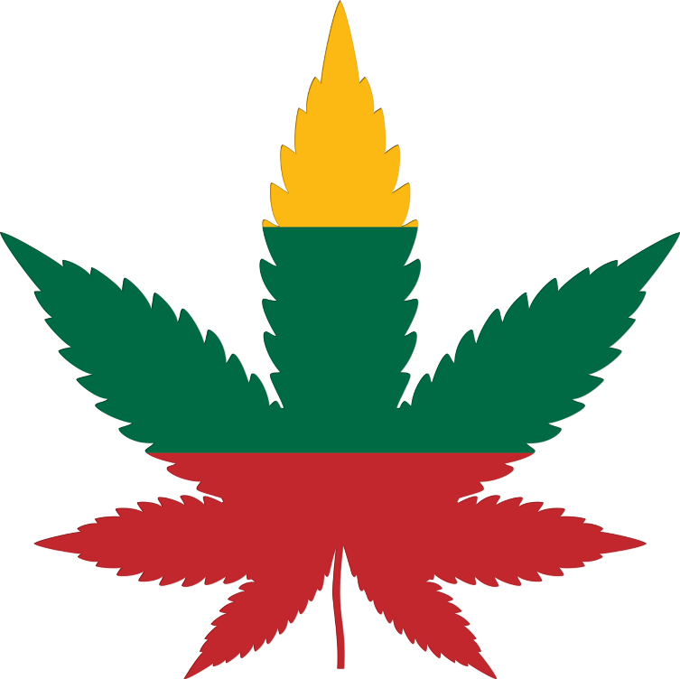 Lithuania flag in cannabis leaf
