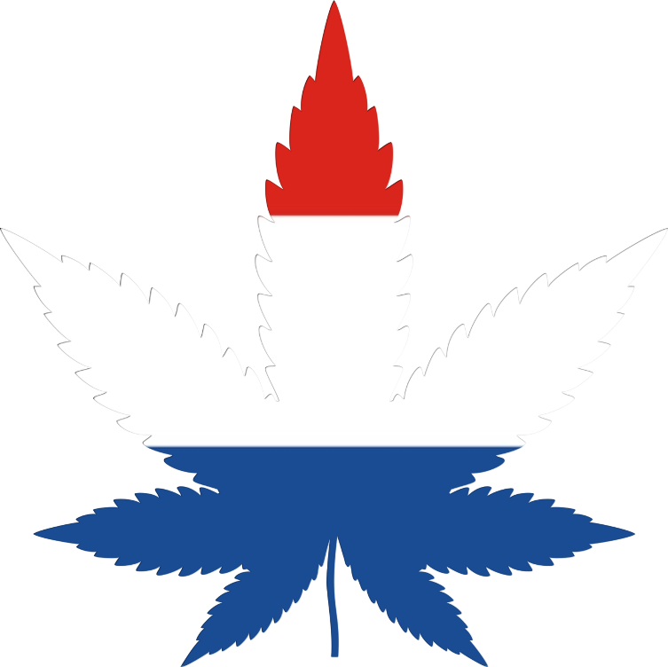 Netherlands flag in cannabis leaf