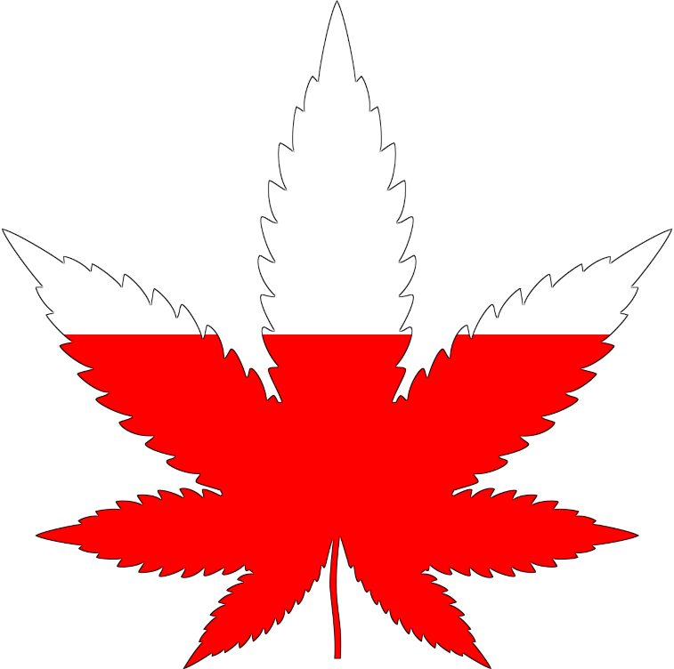 Poland flag in cannabis leaf