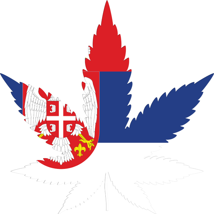 Serbia flag in cannabis leaf