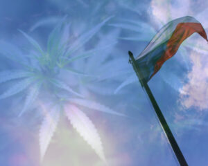 cannabis legalisation czech republic