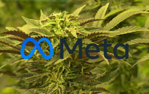 Meta and its game-changing approach to CBD advertising