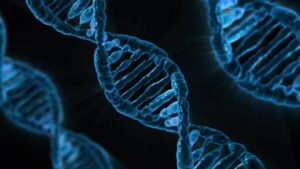 Cannabidiol (CBD): a promising anti-cancer weapon