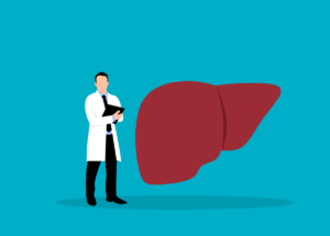 CBD and its impact on the liver: a toxicologist's perspective