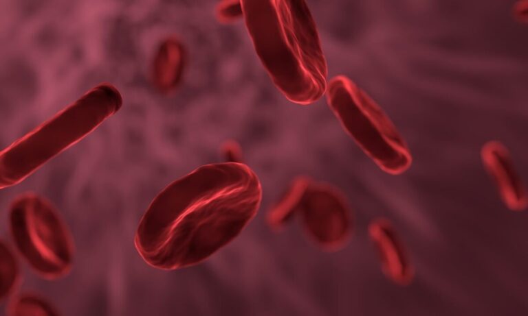 Cannabis as a potential pain control modality in sickle cell disease (SCD)