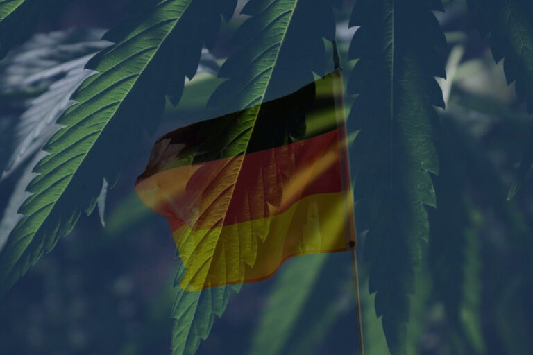 Lauterbach's determination: cannabis legislation approval in February