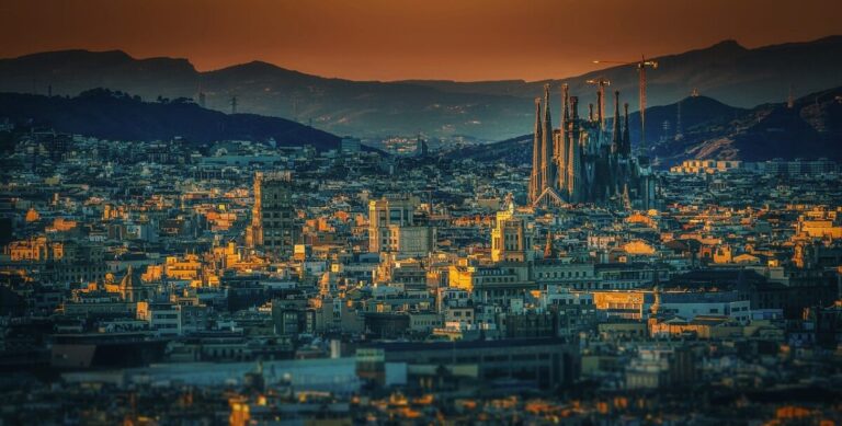 Inspections of cannabis stores in Barcelona